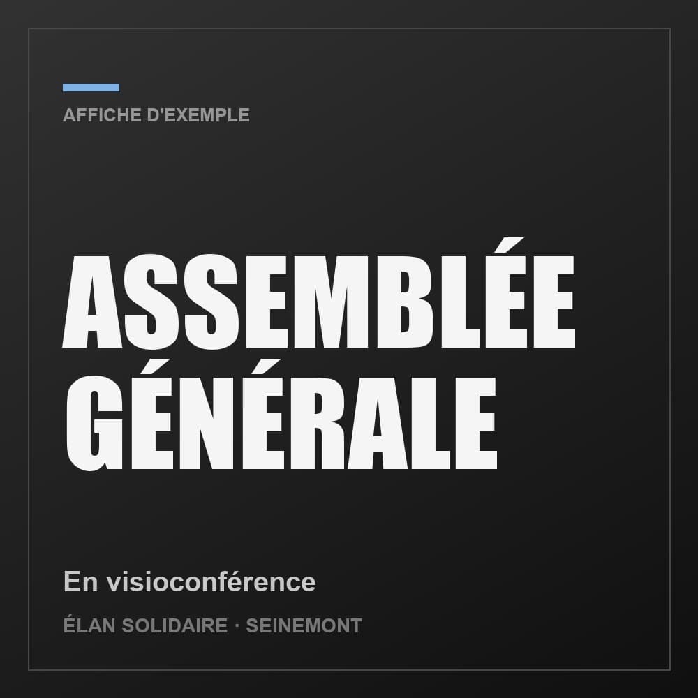 Assemblée générale, en visioconférence